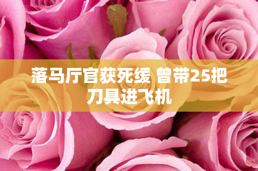落马厅官获死缓 曾带25把刀具进飞机