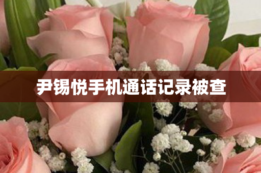 尹锡悦手机通话记录被查