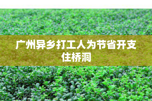 广州异乡打工人为节省开支住桥洞