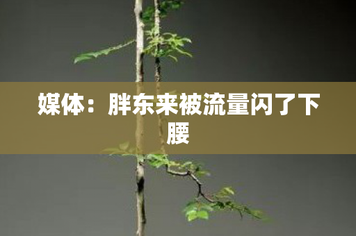 媒体：胖东来被流量闪了下腰