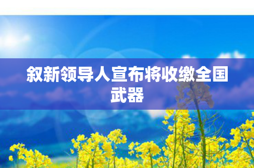 叙新领导人宣布将收缴全国武器