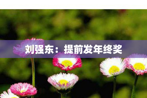 刘强东：提前发年终奖