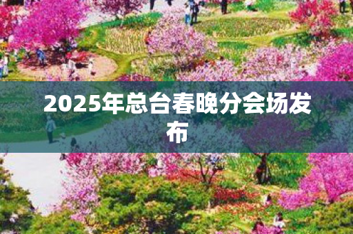 2025年总台春晚分会场发布