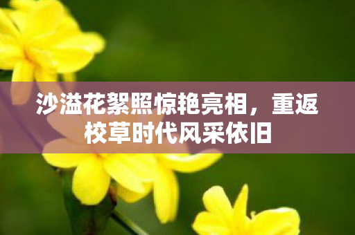 沙溢花絮照惊艳亮相，重返校草时代风采依旧