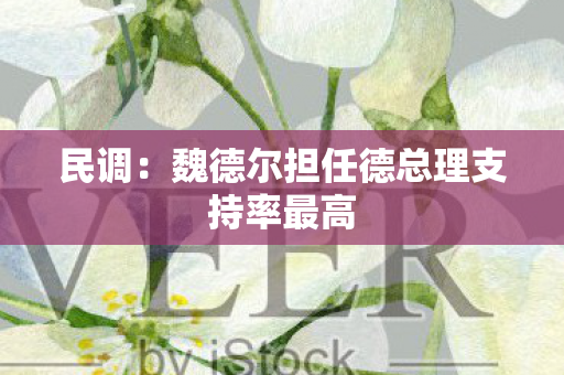 民调：魏德尔担任德总理支持率最高