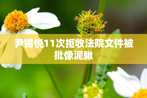 尹锡悦11次拒收法院文件被批像泥鳅