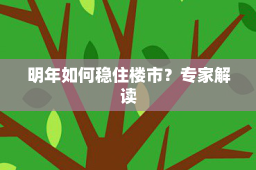 明年如何稳住楼市？专家解读