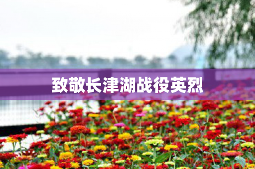 致敬长津湖战役英烈