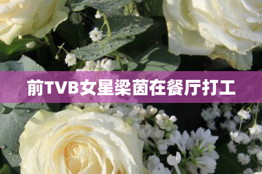 前TVB女星梁茵在餐厅打工
