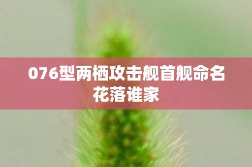 076型两栖攻击舰首舰命名花落谁家