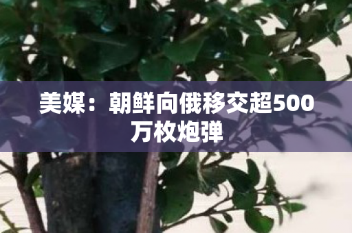 美媒：朝鲜向俄移交超500万枚炮弹
