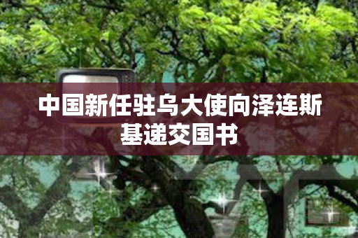 中国新任驻乌大使向泽连斯基递交国书