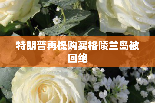 特朗普再提购买格陵兰岛被回绝