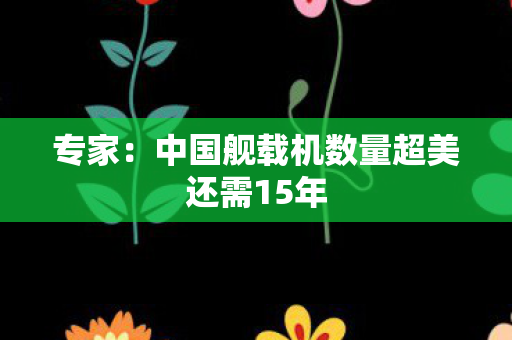 专家：中国舰载机数量超美还需15年