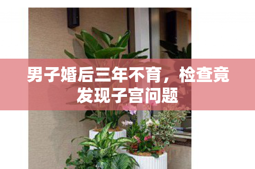 男子婚后三年不育，检查竟发现子宫问题