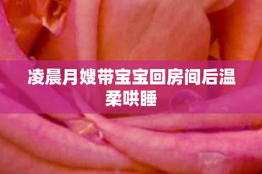 凌晨月嫂带宝宝回房间后温柔哄睡
