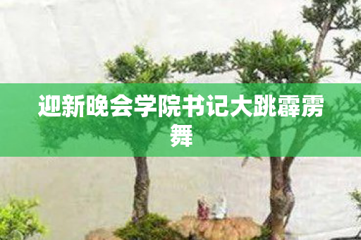 迎新晚会学院书记大跳霹雳舞