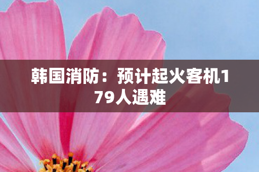 韩国消防：预计起火客机179人遇难