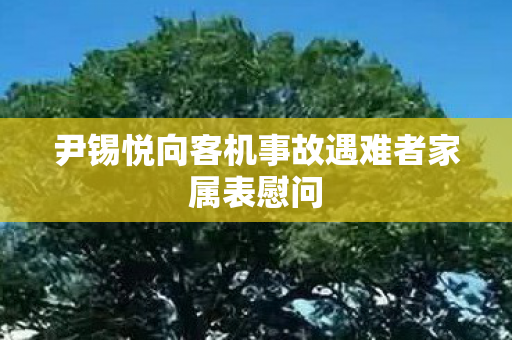 尹锡悦向客机事故遇难者家属表慰问