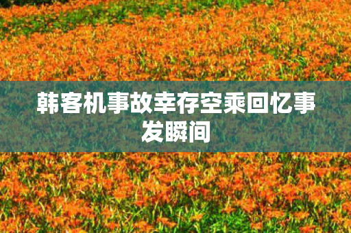 韩客机事故幸存空乘回忆事发瞬间