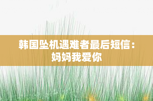 韩国坠机遇难者最后短信：妈妈我爱你