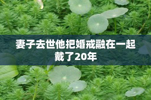 妻子去世他把婚戒融在一起戴了20年