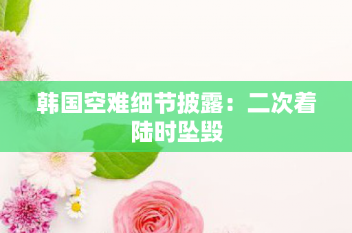 韩国空难细节披露：二次着陆时坠毁