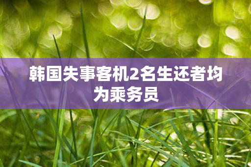 韩国失事客机2名生还者均为乘务员