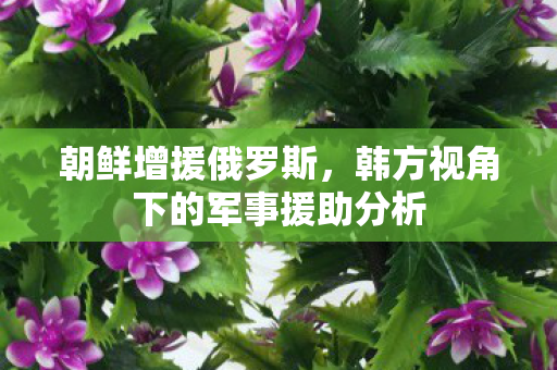 朝鲜增援俄罗斯，韩方视角下的军事援助分析