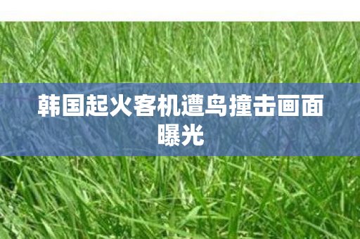 韩国起火客机遭鸟撞击画面曝光