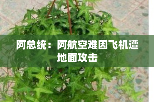 阿总统：阿航空难因飞机遭地面攻击