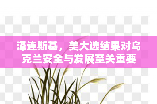 泽连斯基，美大选结果对乌克兰安全与发展至关重要