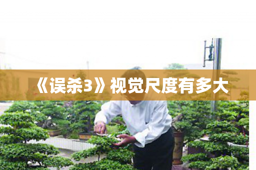 《误杀3》视觉尺度有多大