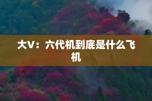 大V：六代机到底是什么飞机