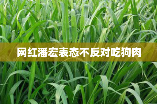 网红潘宏表态不反对吃狗肉