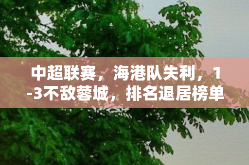 中超联赛，海港队失利，1-3不敌蓉城，排名退居榜单第二