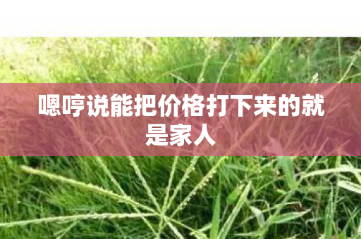 嗯哼说能把价格打下来的就是家人