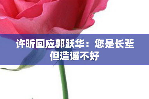 许昕回应郭跃华：您是长辈但造谣不好