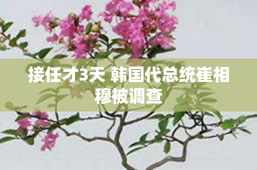 接任才3天 韩国代总统崔相穆被调查
