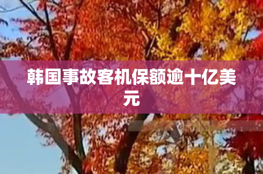 韩国事故客机保额逾十亿美元