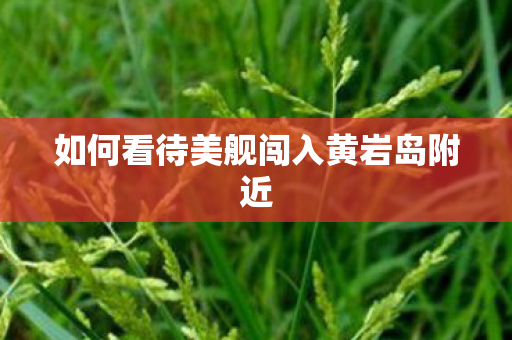 如何看待美舰闯入黄岩岛附近