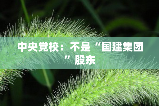 中央党校：不是“国建集团”股东