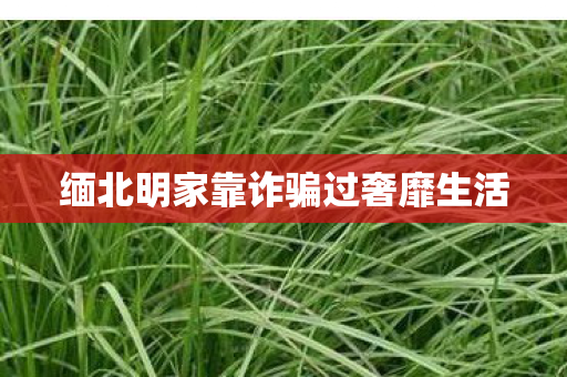 缅北明家靠诈骗过奢靡生活