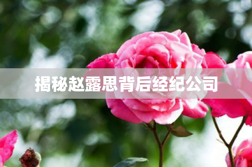揭秘赵露思背后经纪公司