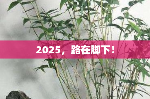 2025，路在脚下！