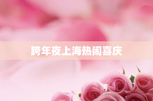 跨年夜上海热闹喜庆