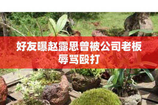 好友曝赵露思曾被公司老板辱骂殴打