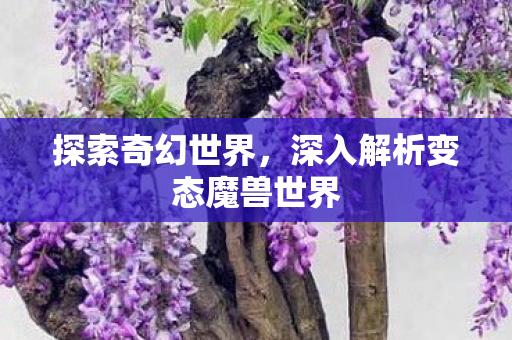 探索奇幻世界，深入解析变态魔兽世界