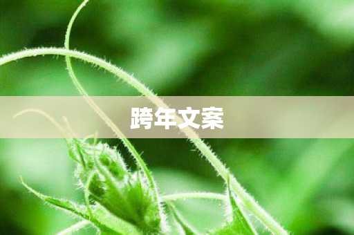 跨年文案