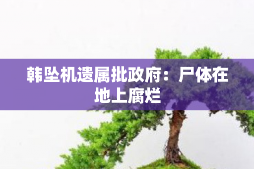 韩坠机遗属批政府：尸体在地上腐烂